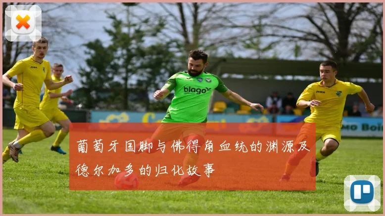 葡萄牙国脚与佛得角血统的渊源及德尔加多的归化故事