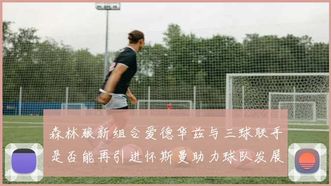 森林狼新组合爱德华兹与三球联手是否能再引进怀斯曼助力球队发展